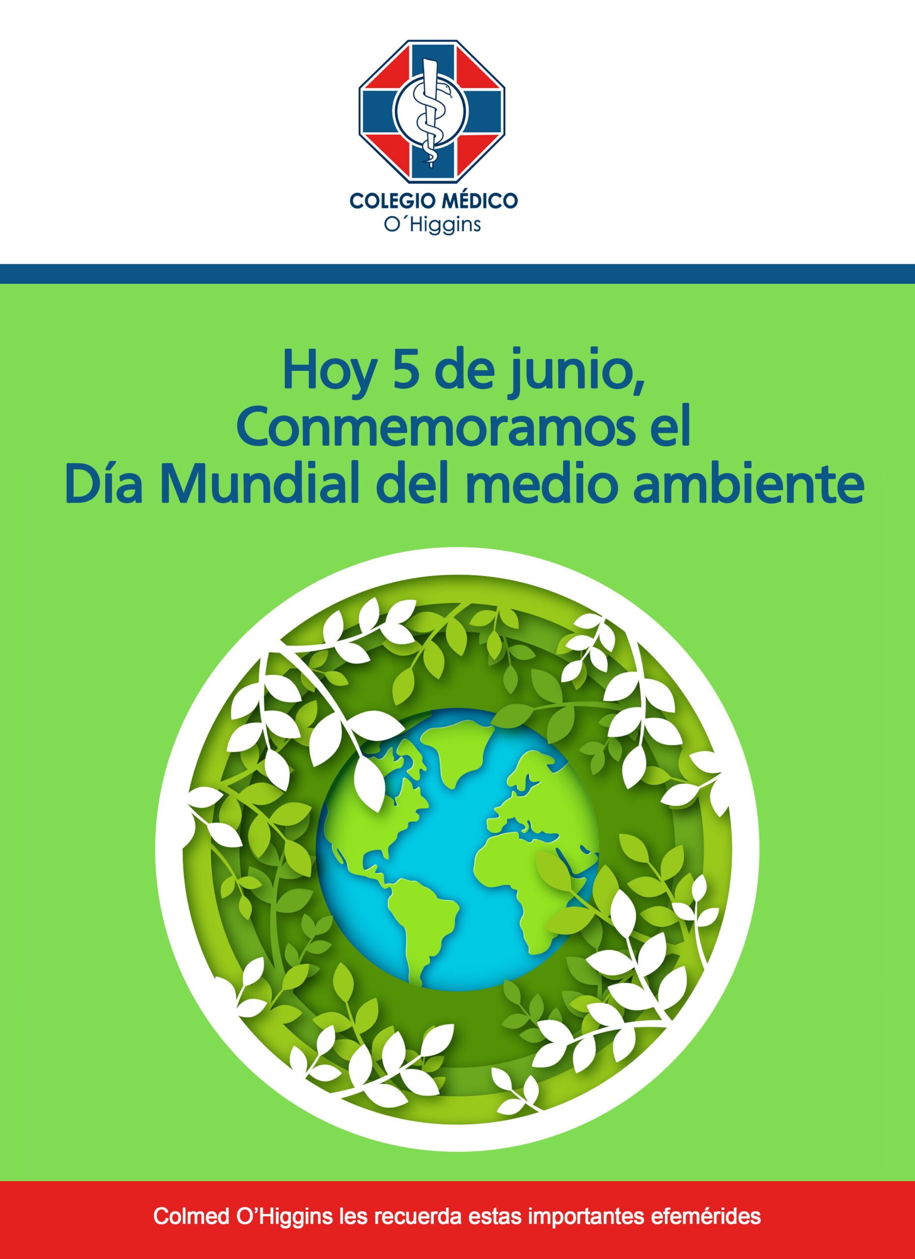 Hoy 5 de junio conmemoramos el día mundial del medio ambiente - Colegio ...