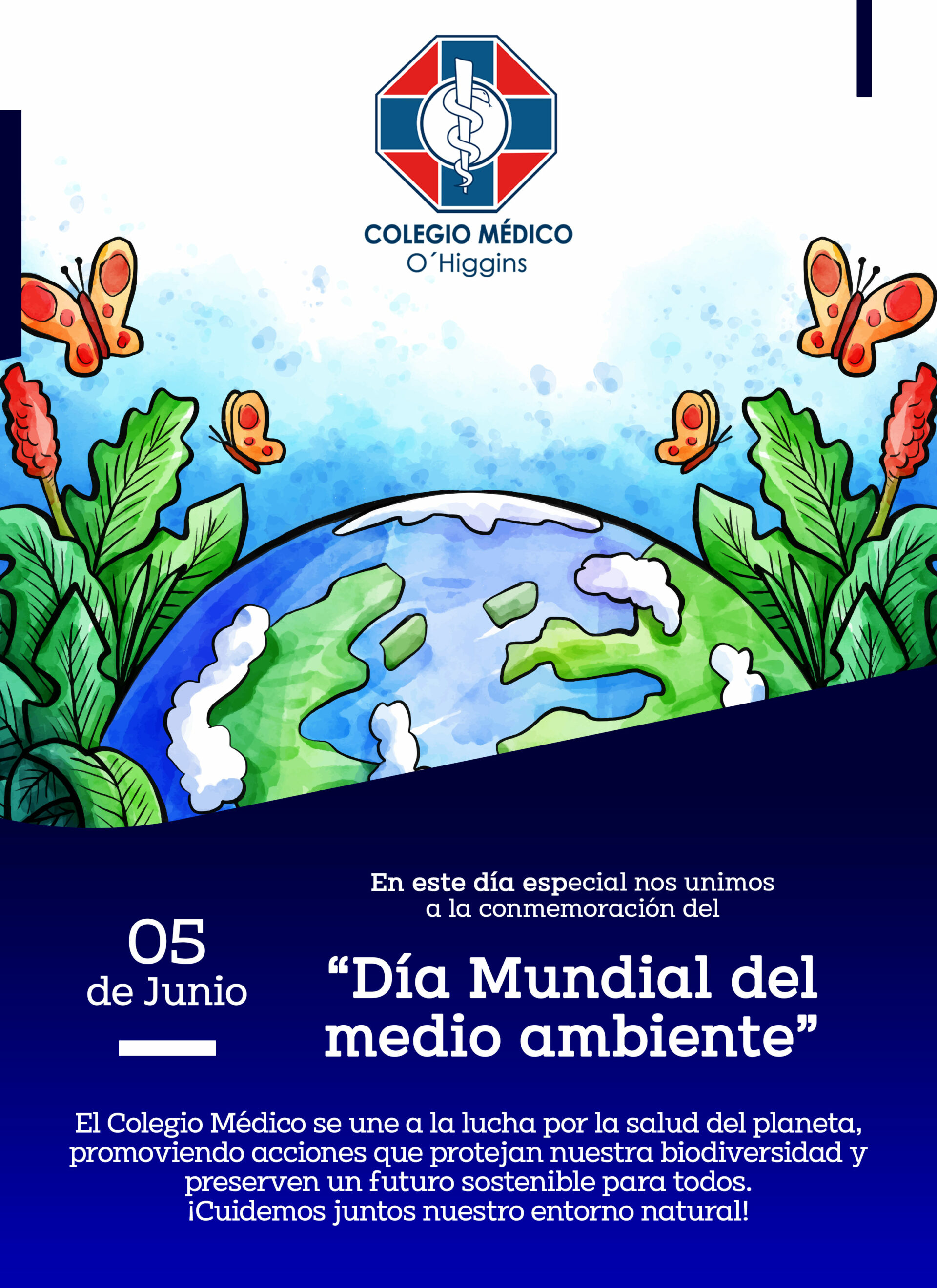 Hoy 05 de Junio celebramos el día Mundial del medio ambiente - Colegio ...
